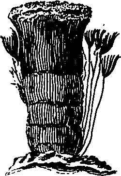 088/088890010305610_4.png