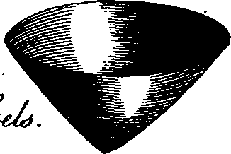 088/088890010305720_1.png