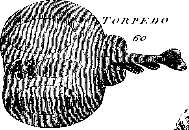 088/088890010305950_0.png