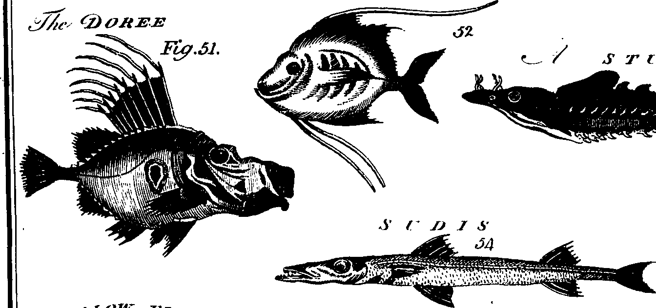 088/088890010305950_1.png