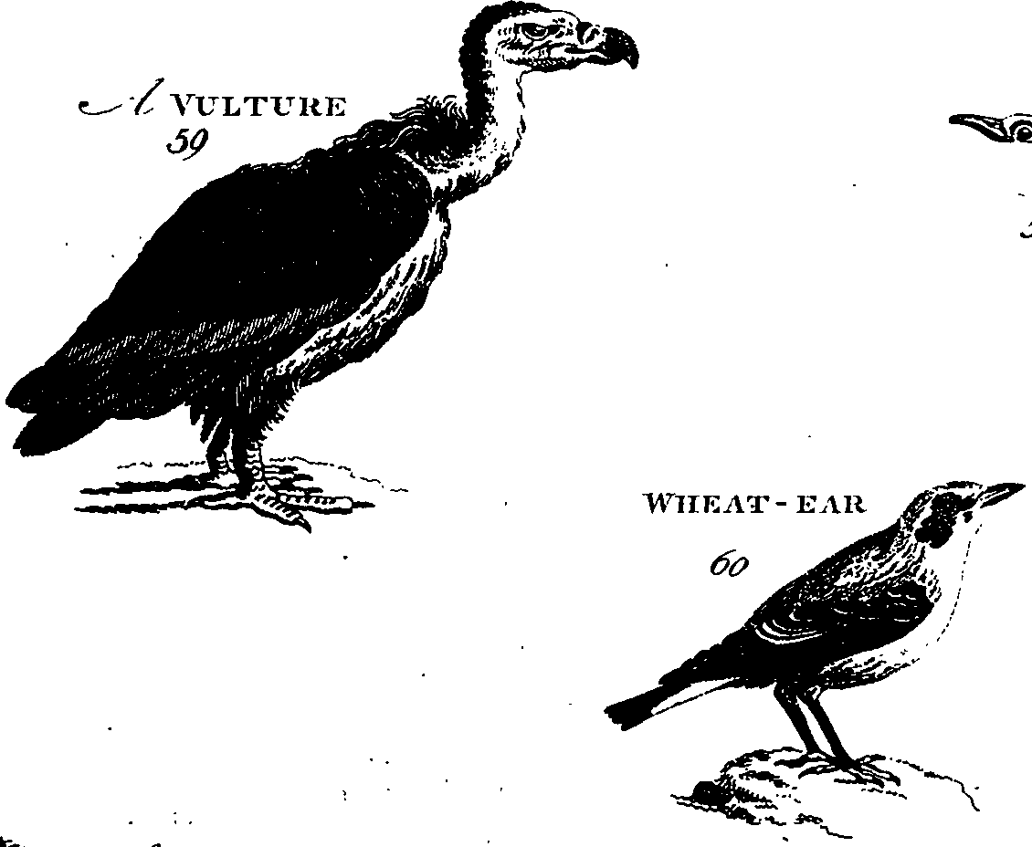088/088890010306320_0.png