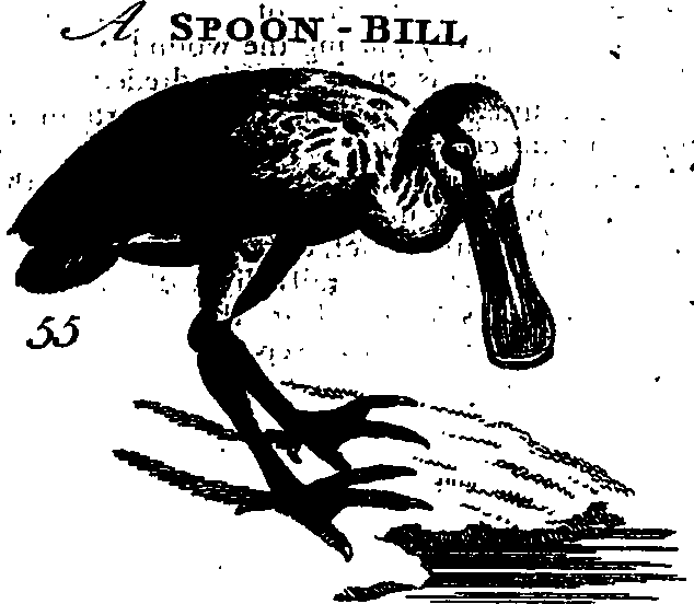 088/088890010306320_1.png