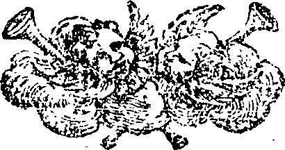 088/088910040100220_0.png
