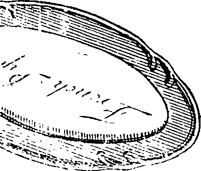 088/088920030000100_0.png