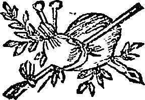 089/089080030000470_0.png