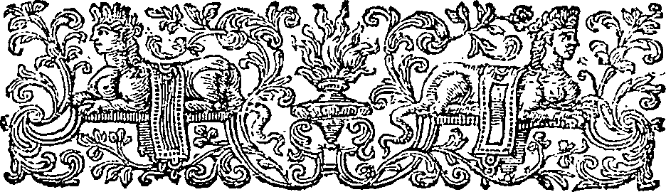089/089080050000080_1.png