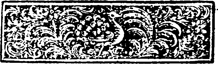 089/089100040000020_1.png