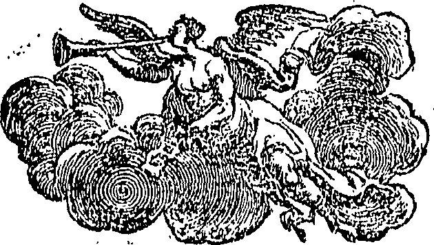 089/089110010100810_0.png