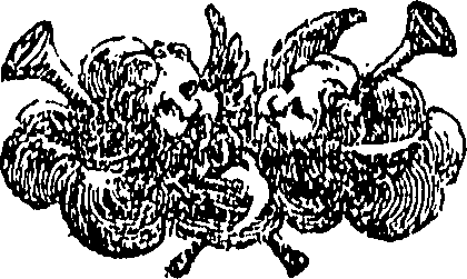 089/089110010300800_0.png