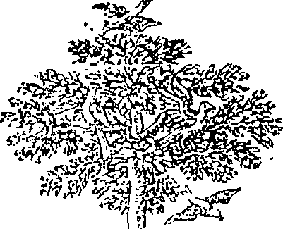 089/089110010301520_0.png