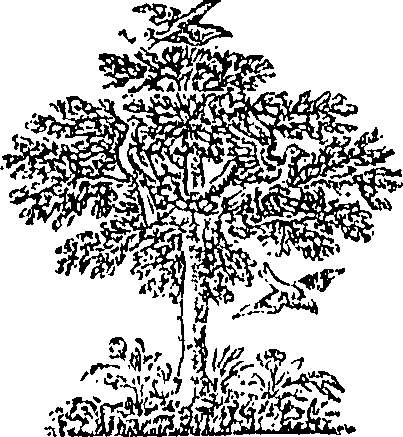 089/089110010401190_0.png