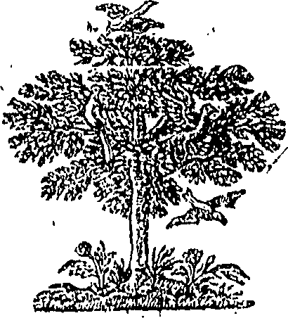 089/089110010402050_0.png