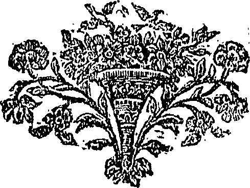 089/089110010500300_0.png