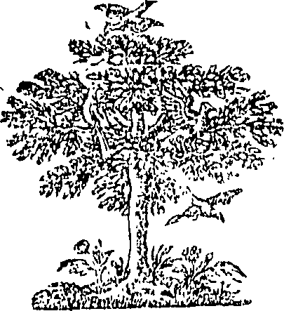 089/089110010500730_0.png