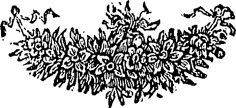089/089110010501060_0.png
