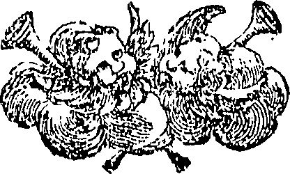 089/089110010501120_0.png