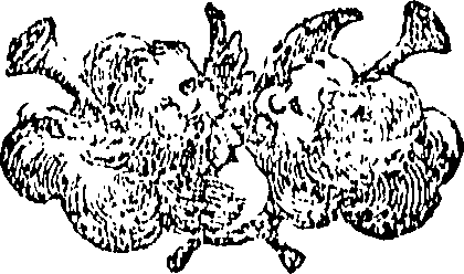 089/089110010601130_0.png