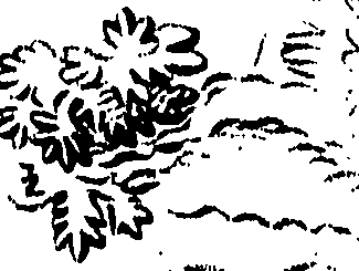 089/089110020001510_0.png