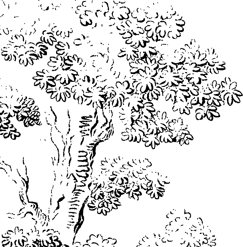089/089110020001510_1.png