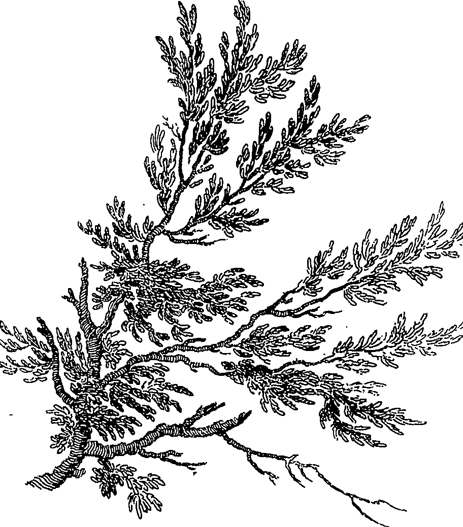 089/089110020001560_0.png