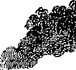 089/089110020001570_0.png