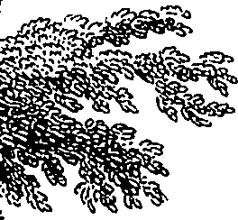 089/089110020001570_1.png