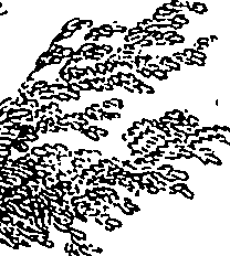 089/089110020001570_2.png