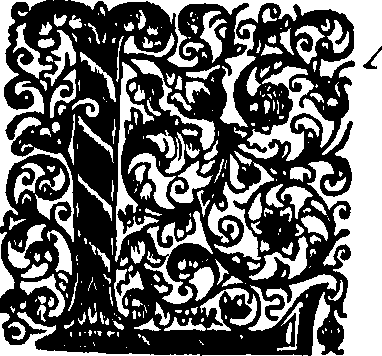 089/089120030100040_0.png
