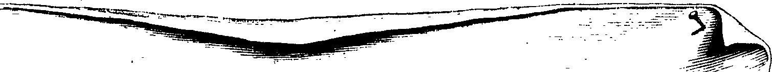 089/089120030100260_1.png