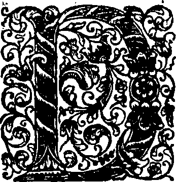 089/089120030101030_0.png