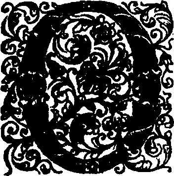 089/089120030201010_0.png