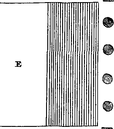 089/089120030300410_1.png