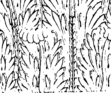 089/089120030400540_1.png