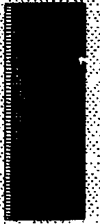 089/089120030401180_0.png