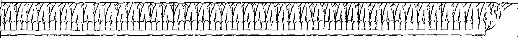 089/089120030401410_2.png