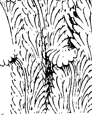 089/089120030401440_0.png