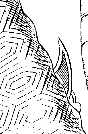 089/089120050005350_0.png