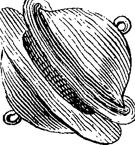 089/089120050005350_3.png
