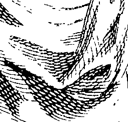 089/089120050005360_0.png