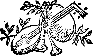 089/089120070000020_0.png