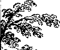 089/089130050000180_0.png