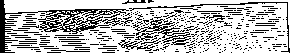 089/089130050000460_0.png