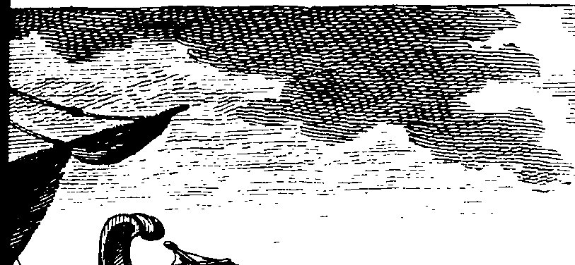 089/089130050000620_0.png