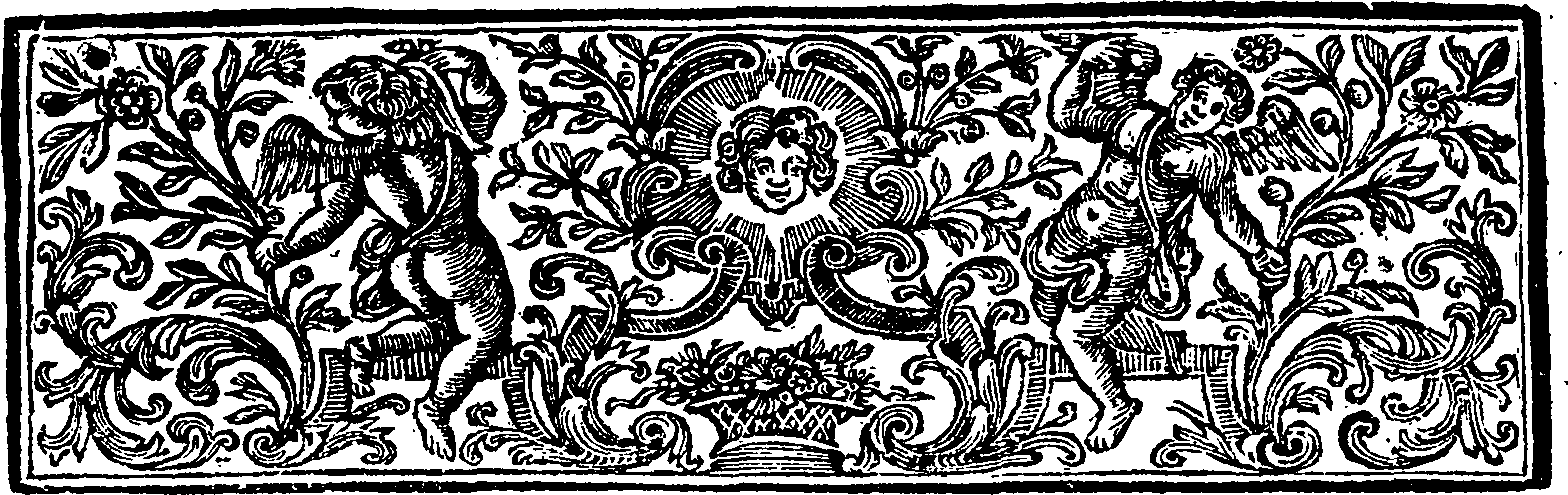 089/089150010000030_1.png