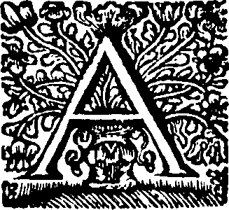 089/089150050000020_0.png