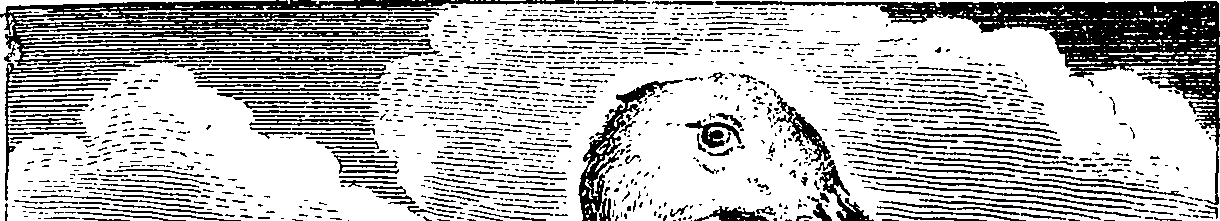 089/089200020202300_1.png