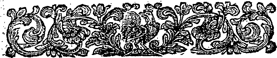 089/089250010200020_1.png