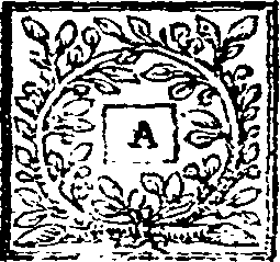 089/089250010300020_0.png