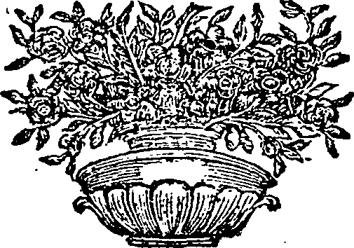 089/089250010303270_0.png