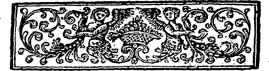 089/089250010400020_1.png